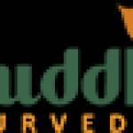 Ayur Shuddhi Profile Picture