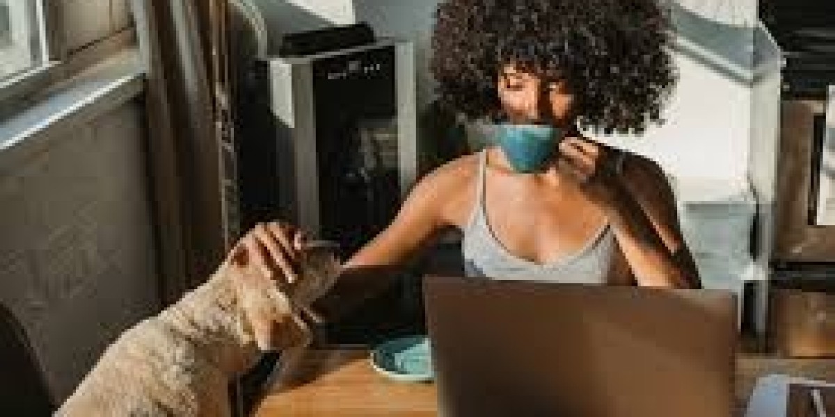Why Designers and Entrepreneurs Choose Templifi