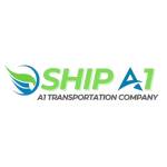 Ship A1 Transport Profile Picture