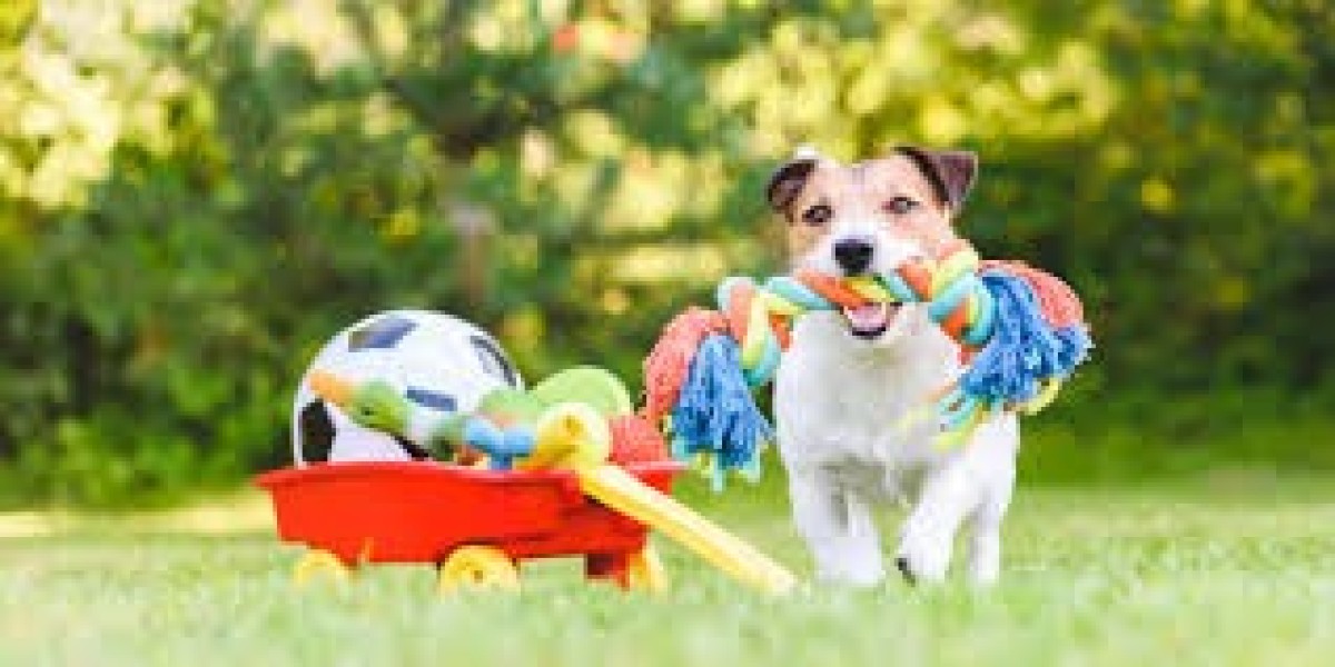 Dog Toys: The Complete Guide to Keeping Your Pu