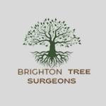Brighton Surgeon Profile Picture