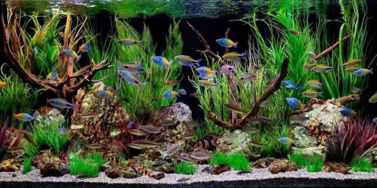 Aquarium Water Treatment Market
