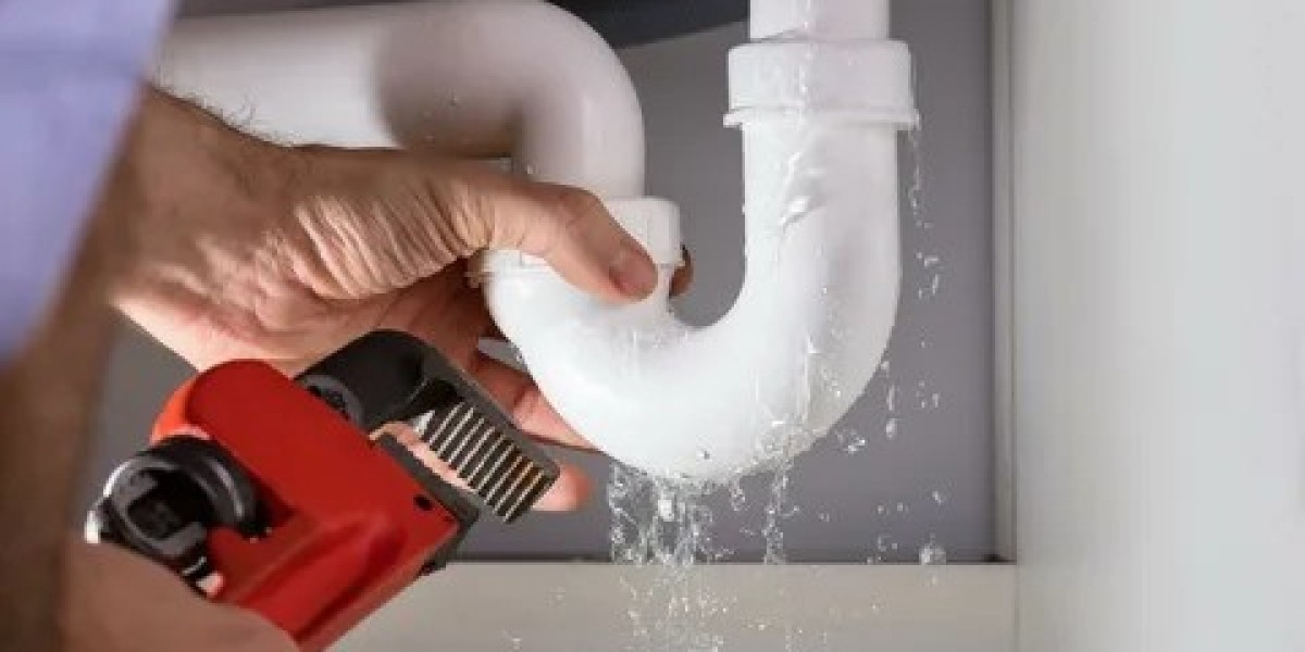 Trusted Plumber Woking Surrey: Expert Solutions