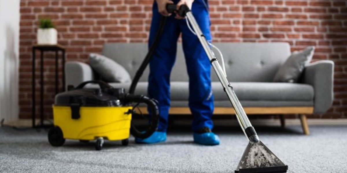 Roof, Basement & Carpet Cleaning Services
