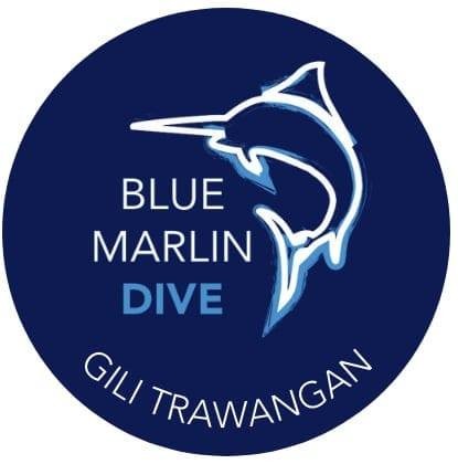Blue Marlin Dive Gili Trawangan Profile Picture