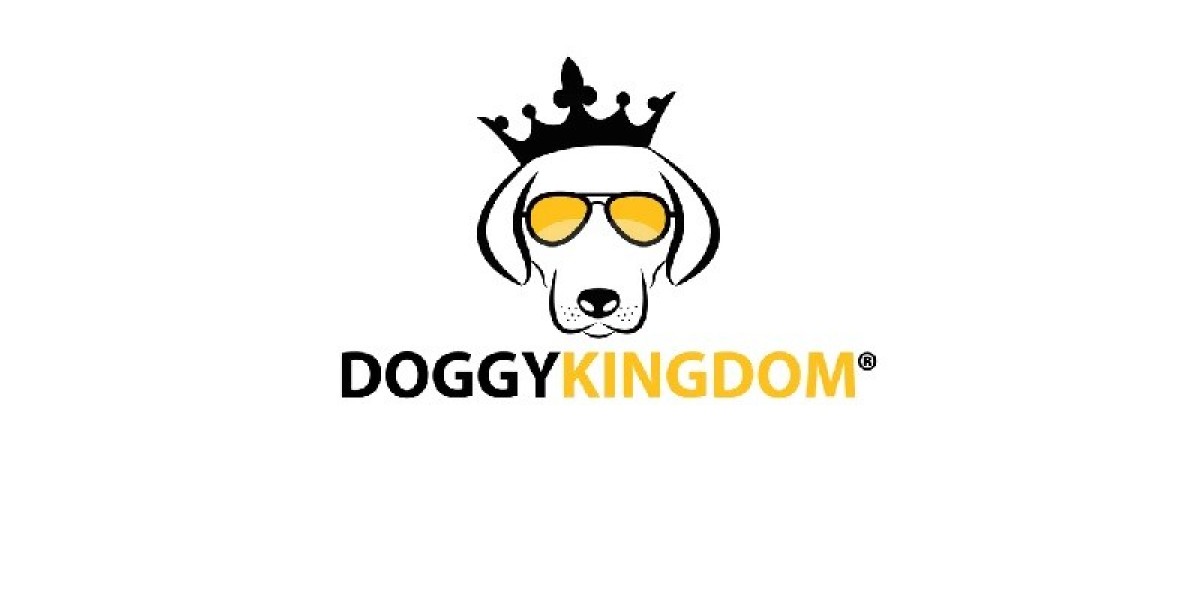 Harnesses, Collars & Leashes
