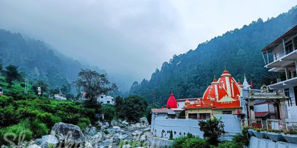 Pantnagar to Kainchi Dham Taxi
