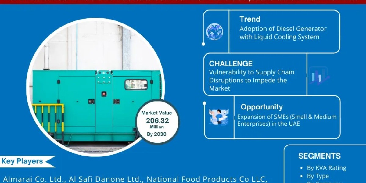 UAE Diesel Generator Market Report 2025–2030: