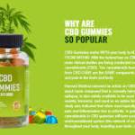 PlantaRXCBD CubeGummies Profile Picture