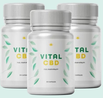 Vital CBD Profile Picture
