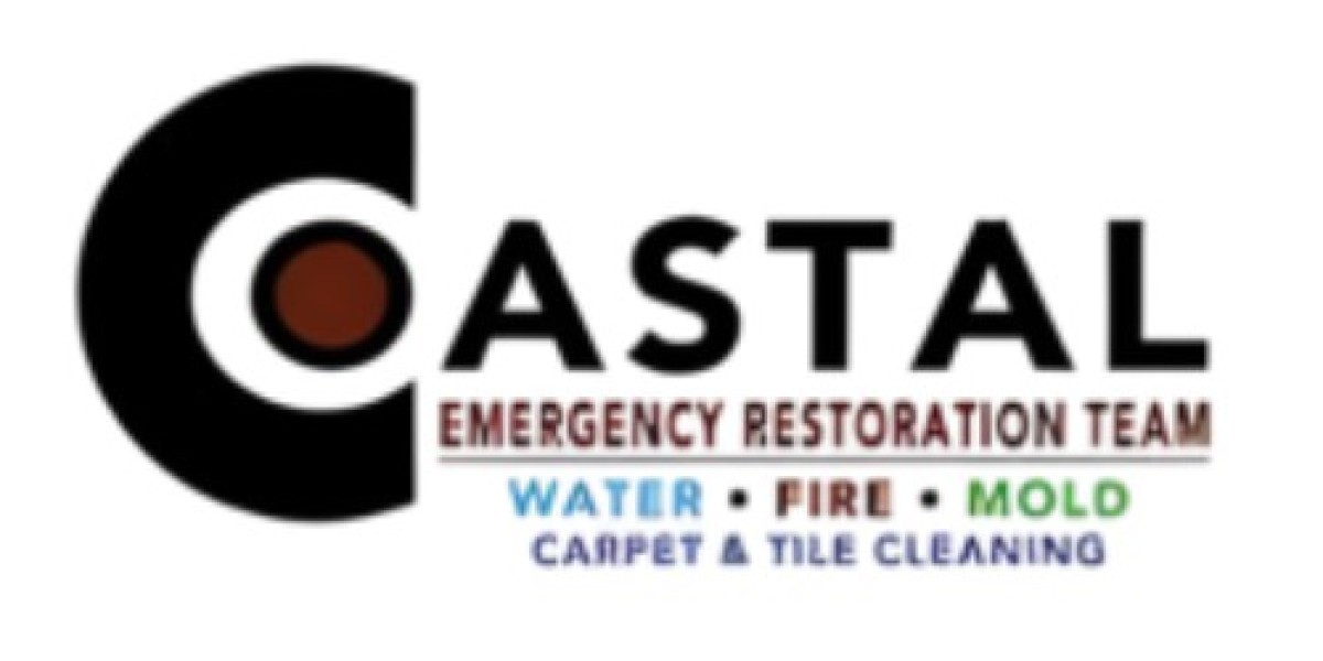 Mold Removal Panama City FL | Professional Mold