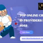 Online Cricket ID Profile Picture