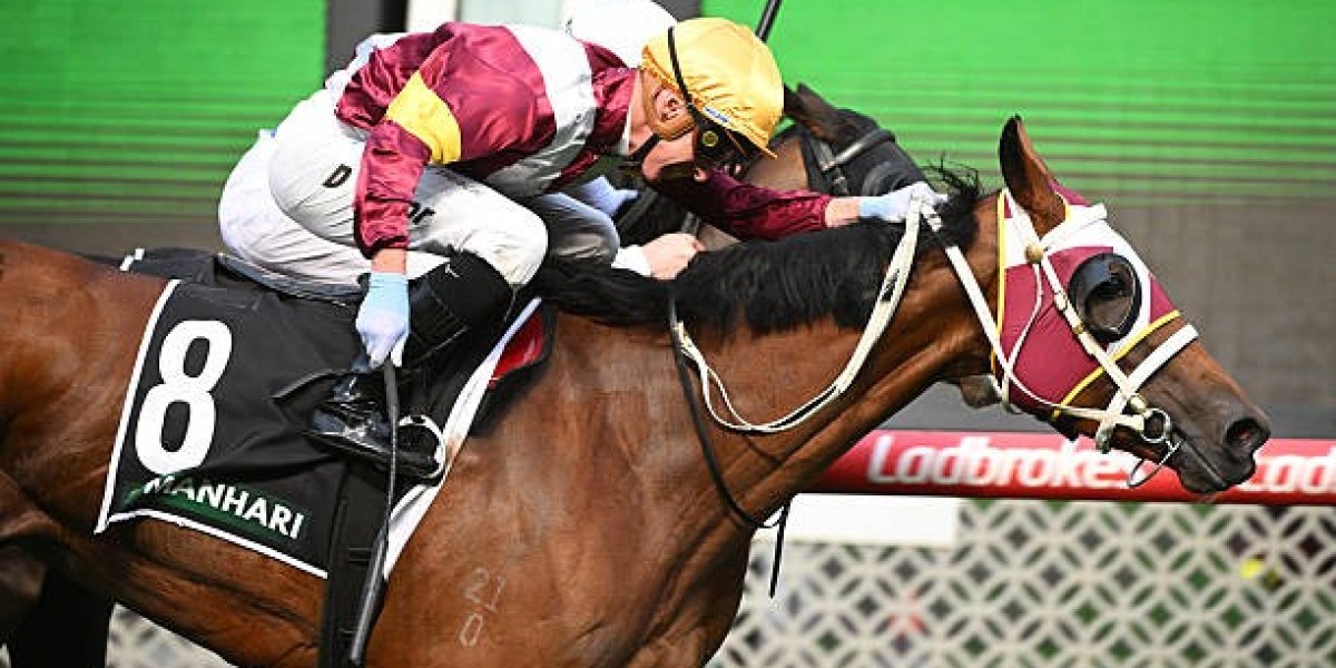 Top Racing Tips: Moonee Valley – Your Guide
