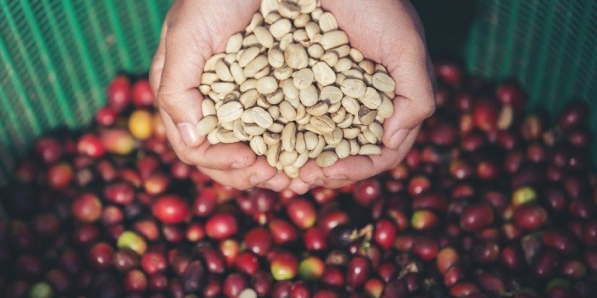Exploring the World’s Best Regions for Organic