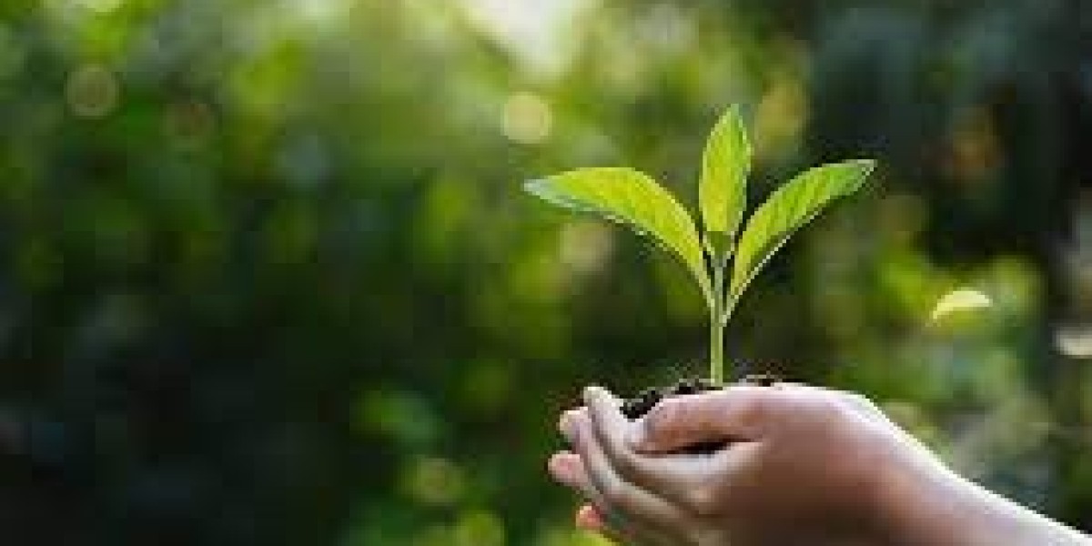 Eco-Friendly Lifestyle Hacks for a Sustainable