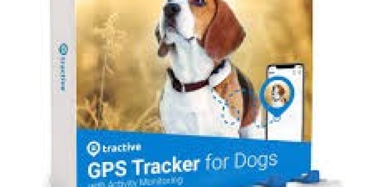 Tractive LTE GPS Tracker: A Complete Guide