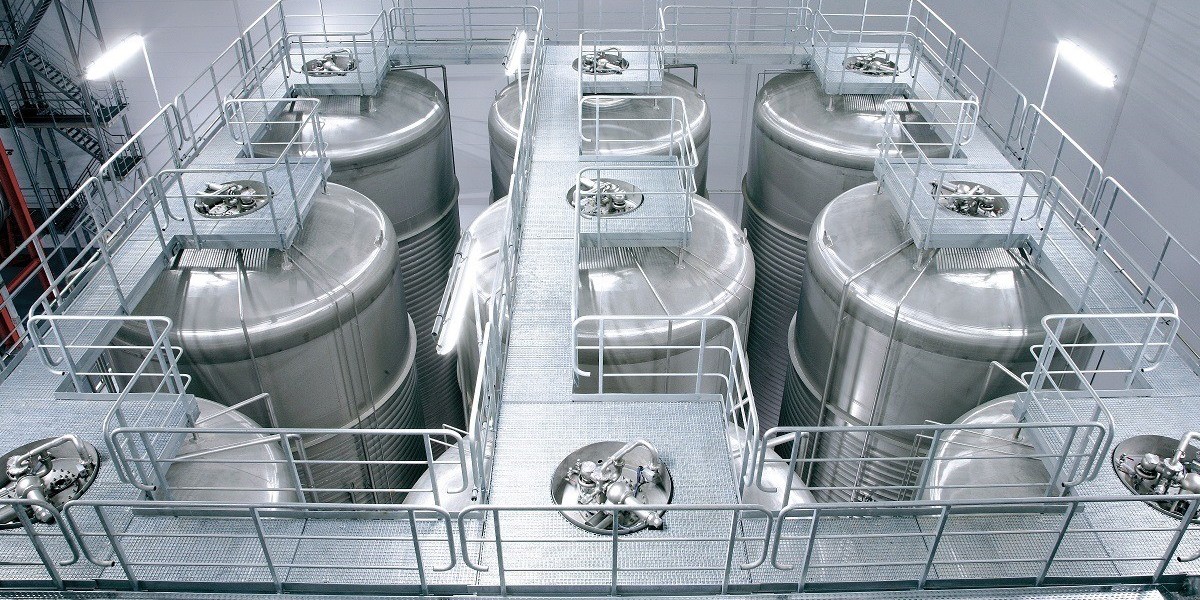 Erucic Acid Production Plant Report 2025