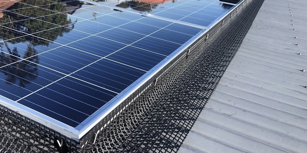 A Complete Guide to Solar Panel Bird Proofing