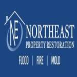 Northeast Property Restoration Profile Picture