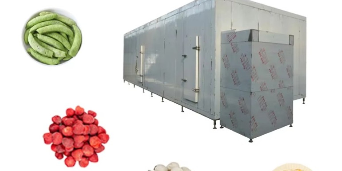 IQF Freezers Revolutionize the Food Industry ﻿