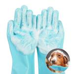 Anju Kumar Profile Picture