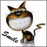 Andrus Lipove Profile Picture