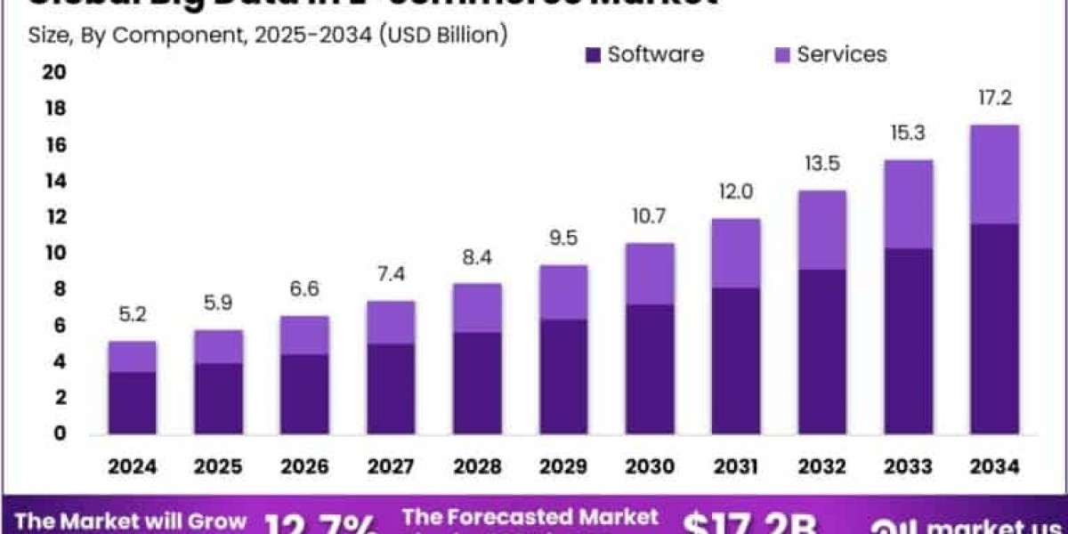 Big Data in E-commerce Market size is growing a