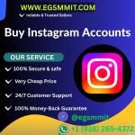 Buy Instagram Accounts Profile Picture