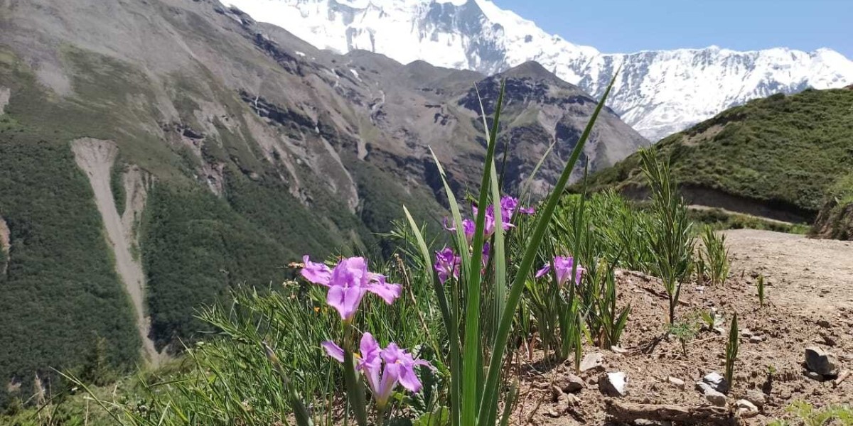 How to Prepare For Annapurna’s Scariest Cold