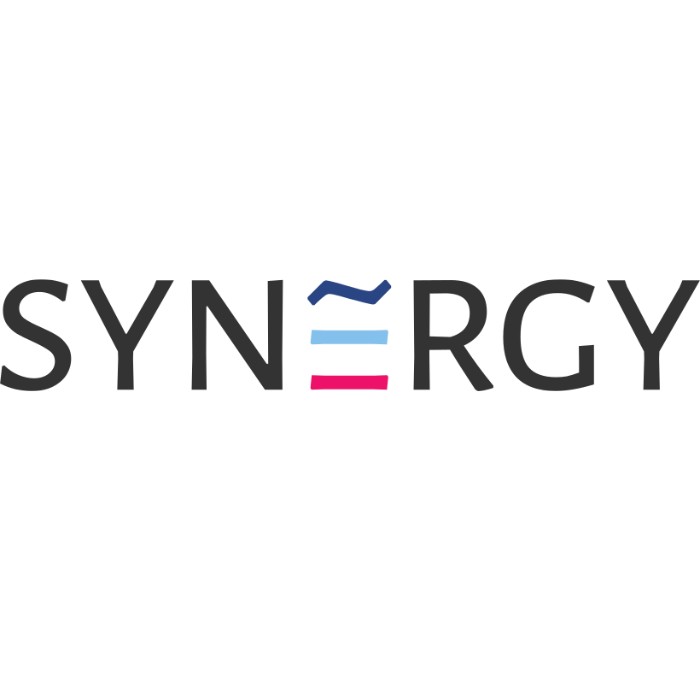 Synergy -IT Profile Picture