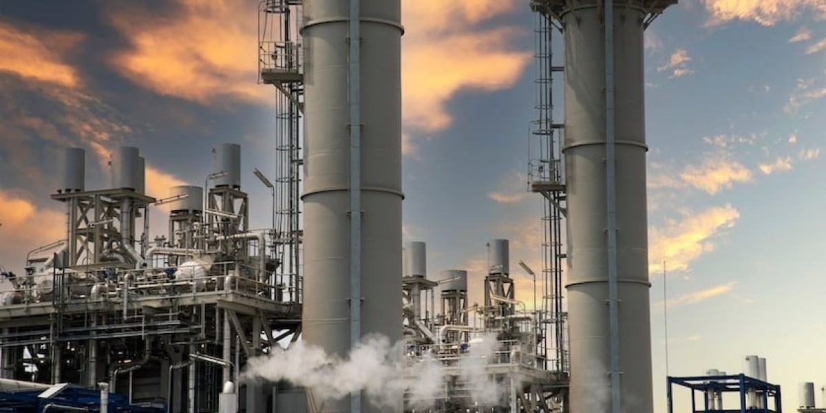 Carbon Monoxide Production Plant Setup Report