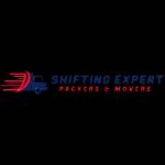 Shifting Expert Profile Picture