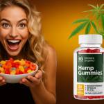 Thajihaka Profile Picture