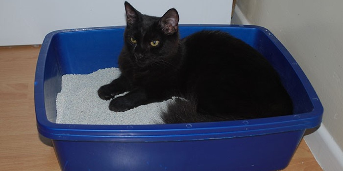 Cat Litter Market to Grow at 4.5% CAGR