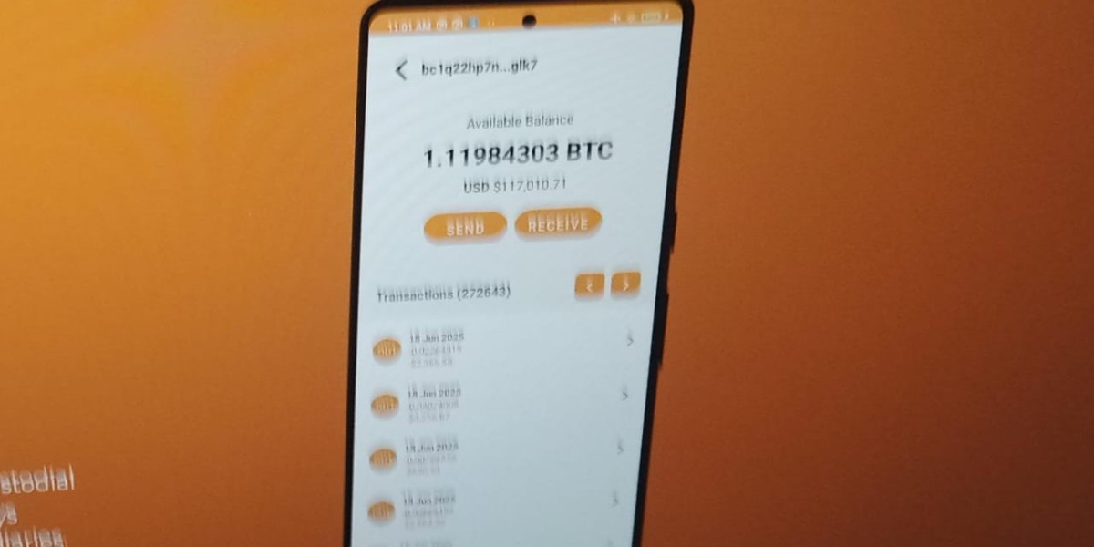 Satoshi Wallet: A Secure and Non-Custodial Bitc