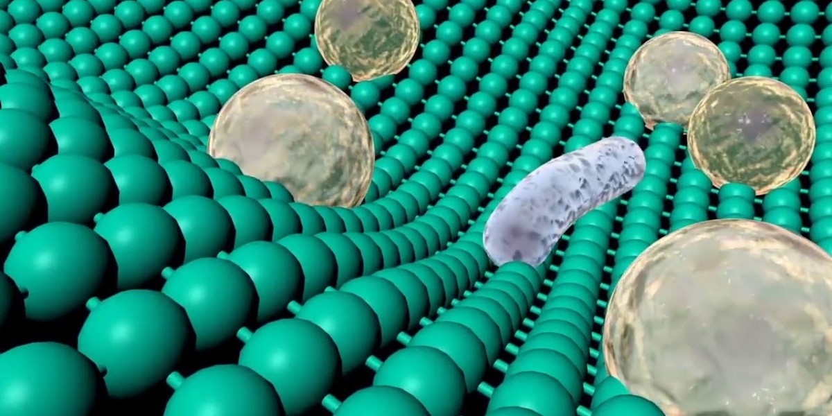 Antimicrobial Hospital Textiles Market Share