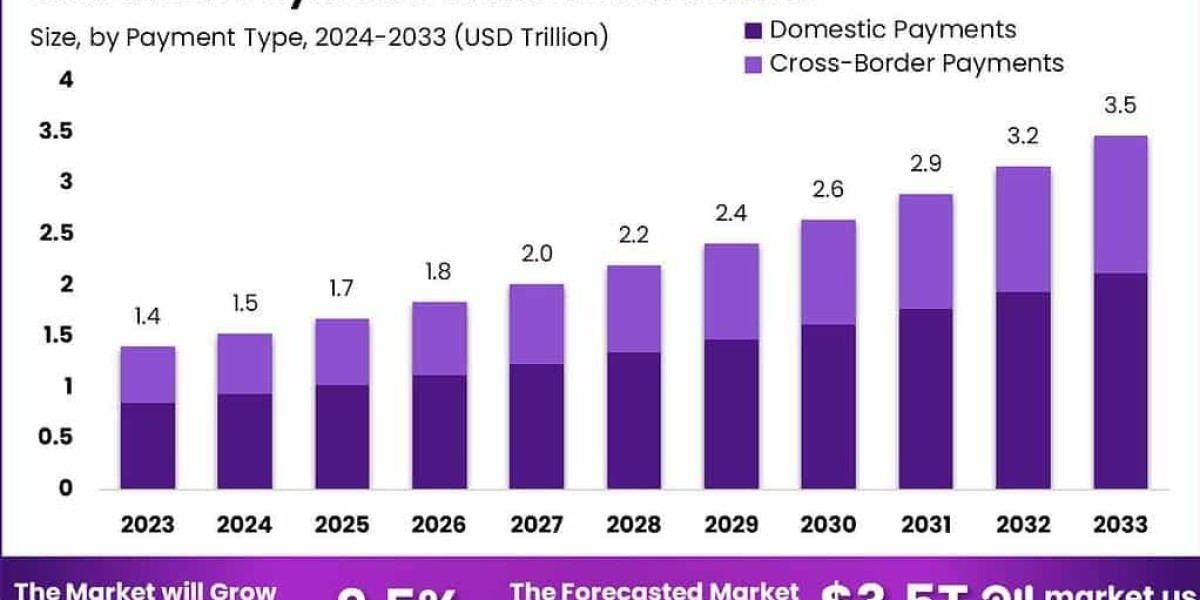 Global B2B Payments Transaction Market Analysis