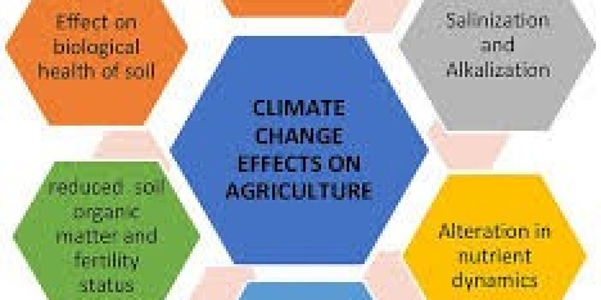 The Impact of Climate Policies on Economies