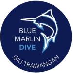 bluemarlingiliId Gili Trawangan Profile Picture