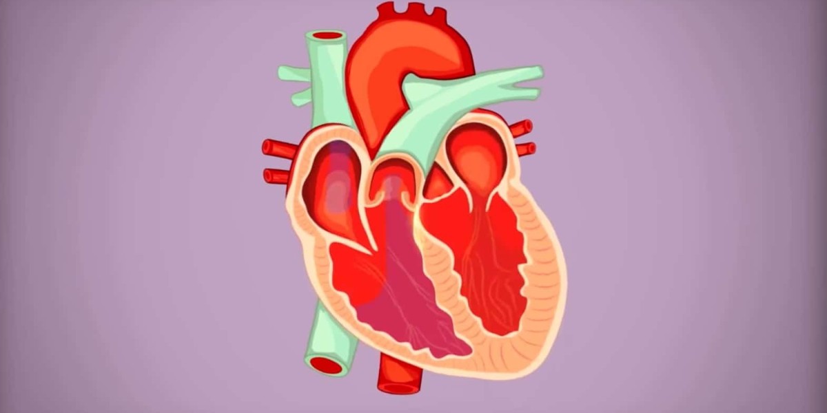 The atrial fibrillation (Afib) market