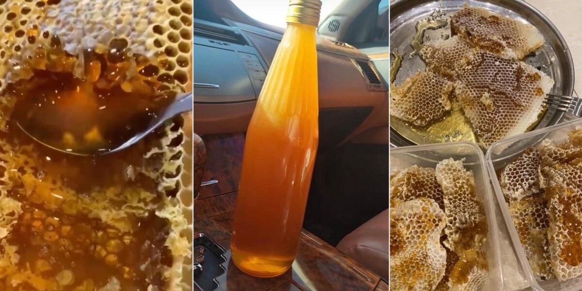 Organic White Honey 500GM in UAE