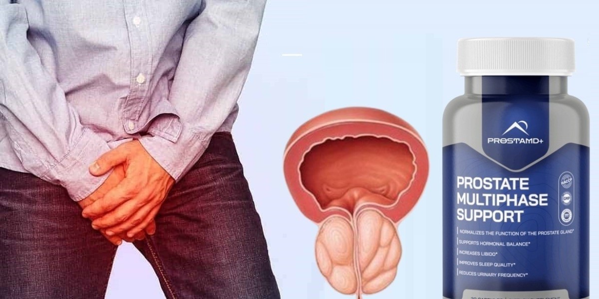 ProstaMD+ Prostate Multiphase Review (2025 Repo