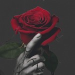 social boosters Profile Picture