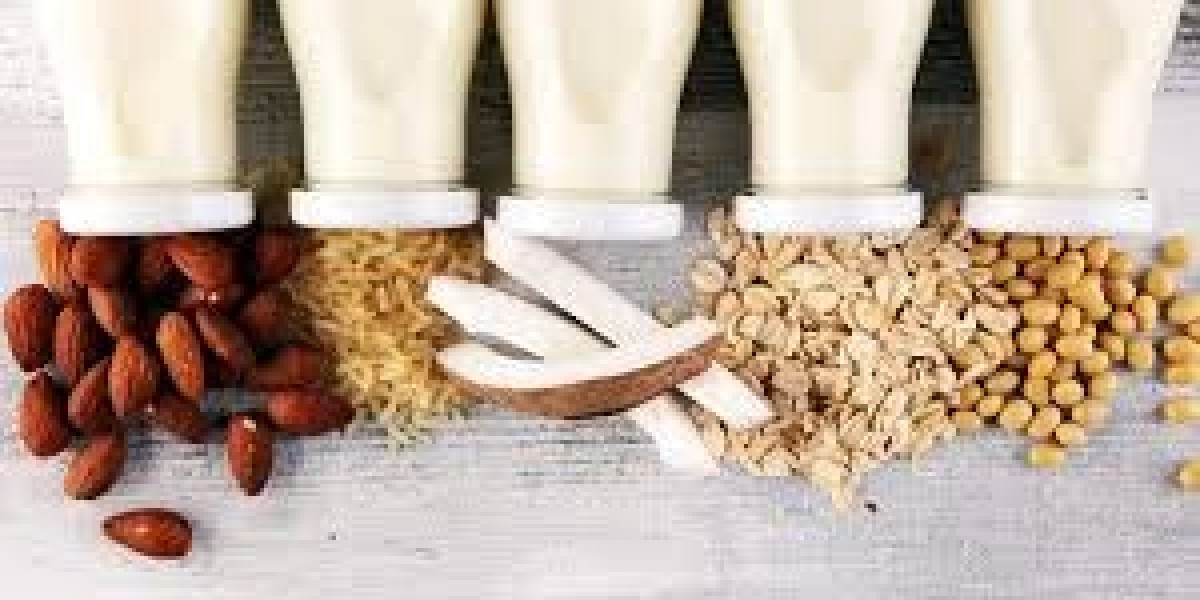 Plant Based Beverage Market Key Trends