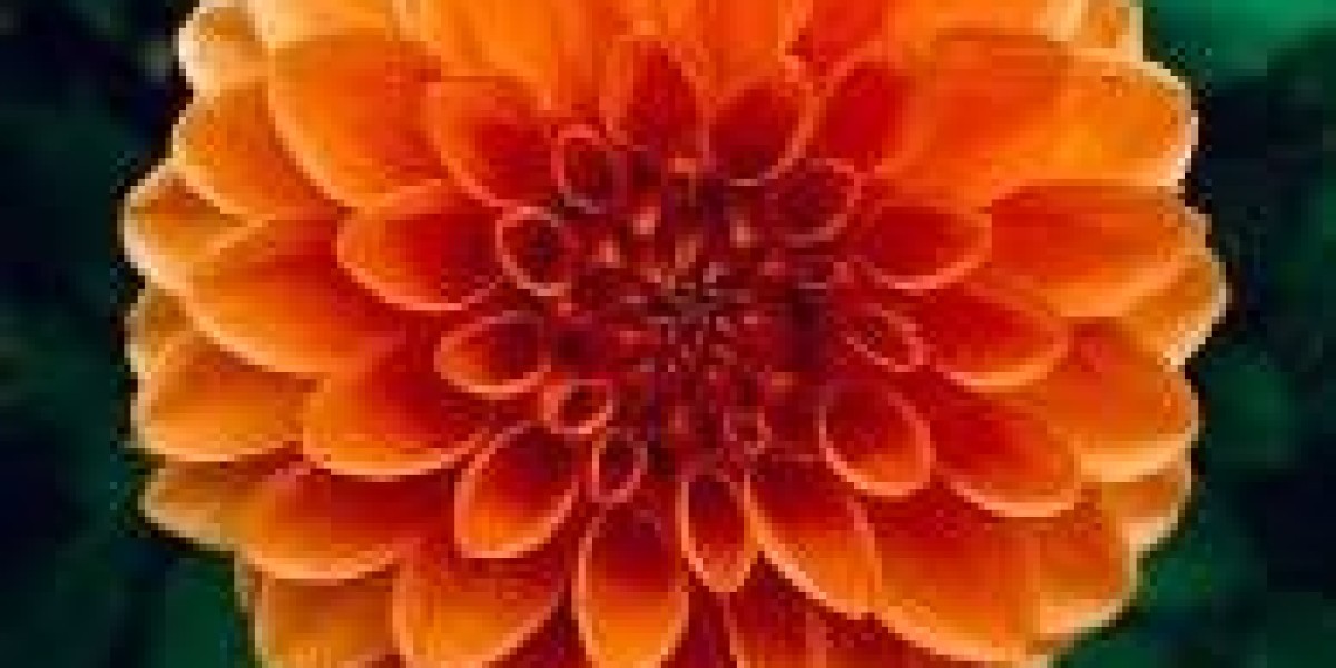 Personalizing Your Flower Bride Bouquet for Wed