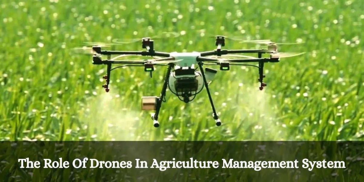 The Role of Drones in Agriculture Management Sy