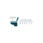 everflow Profile Picture