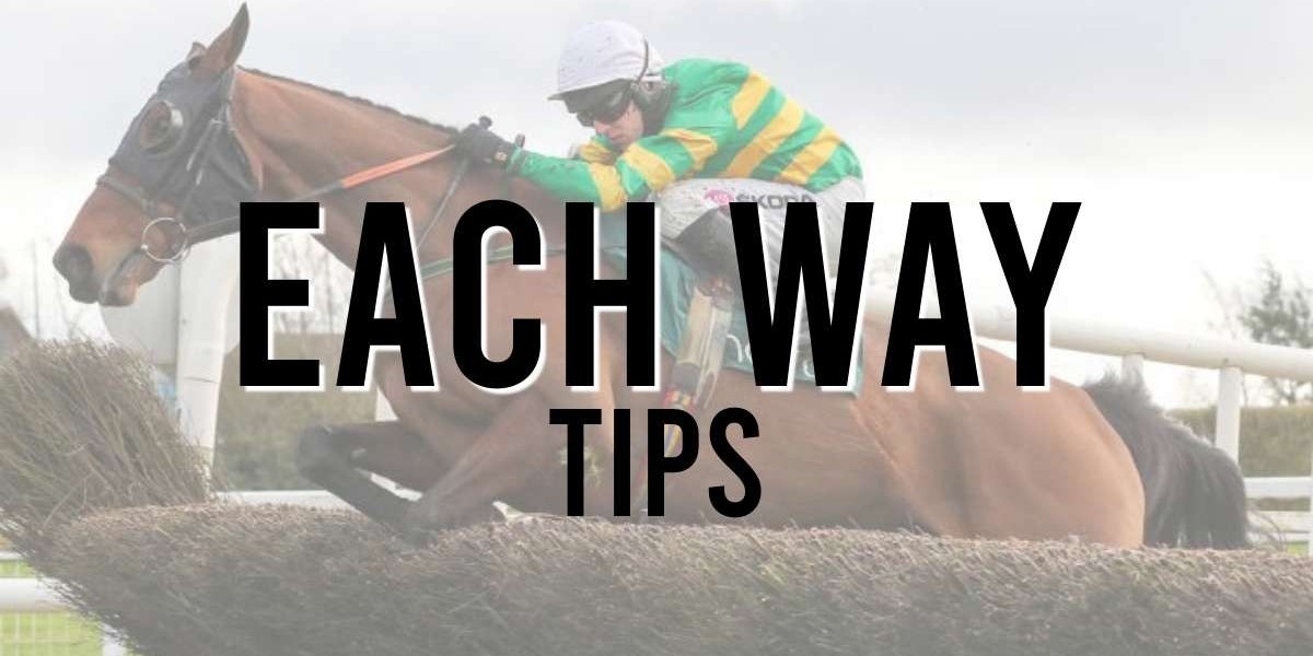 Understanding the World of Horse Racing Tips