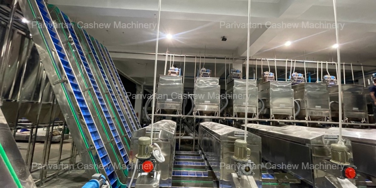 Automatic Cashew Peeling Machine