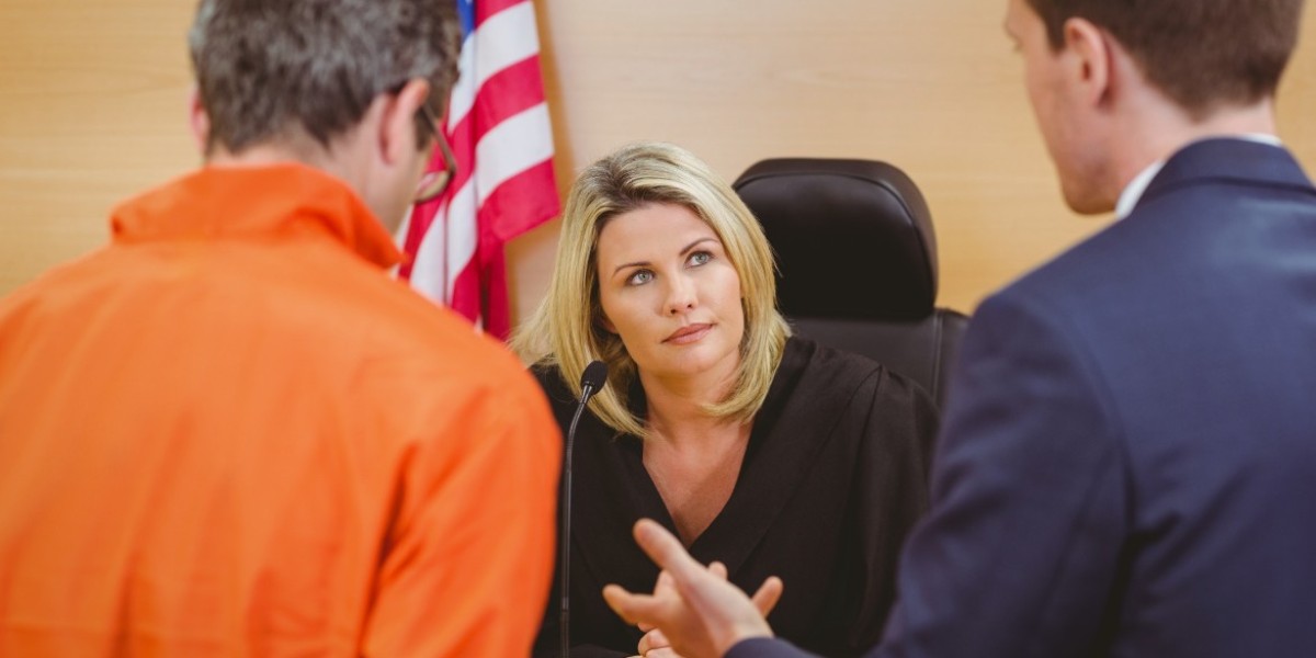 Understanding the Role of a Federal Criminal At